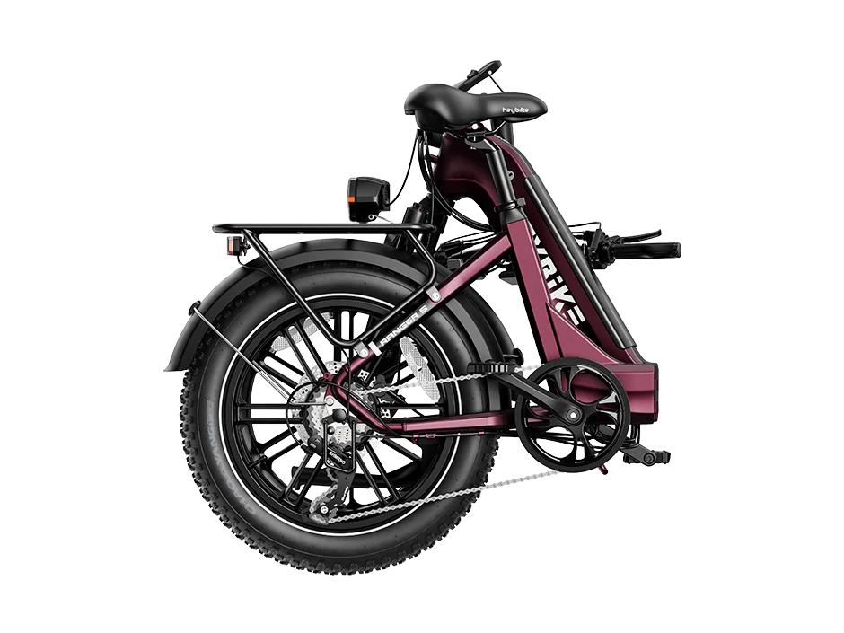 Ranger S 1000W-Combo - Image 9