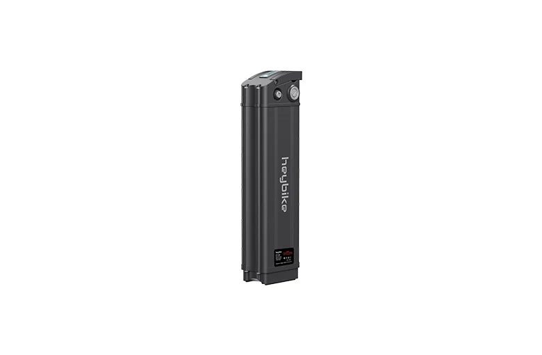 Ranger Spare Battery